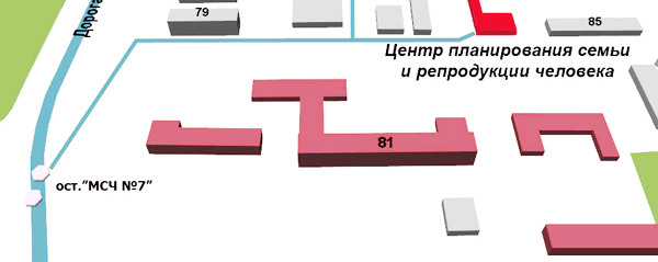 Цпсир схема корпусов