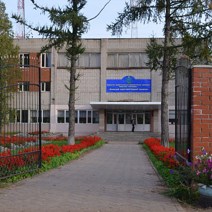 Входная группа Ижевский агростроительный техникум. 