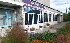 Входная группа Можгинский агропромышленный колледж.  Наговицына,  37