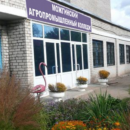 Входная группа Можгинский агропромышленный колледж. 
